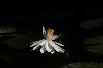 hjc888黄金城·(中国集团)官方网站